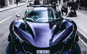 purple apollo