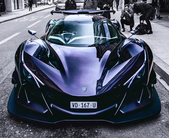 purple apollo
