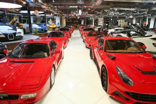 ferrari enzo