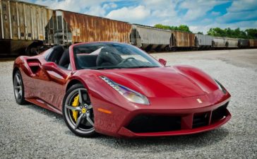 488-spider